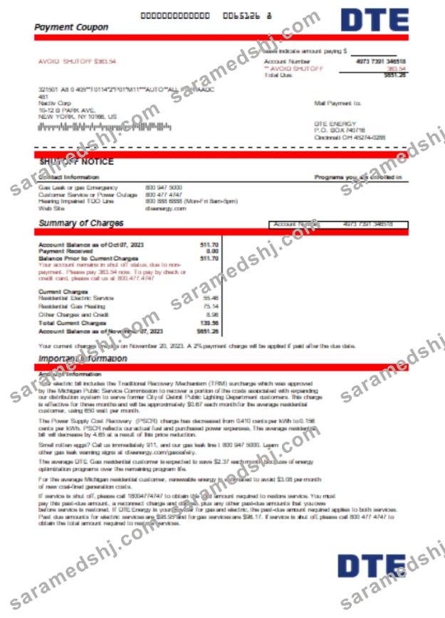 Michigan DTE Energy utility business bill, Word and PDF template SCR
